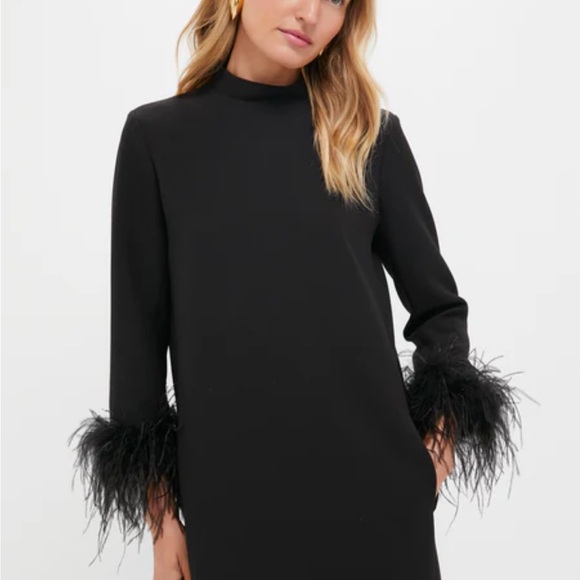 Tuckernuck Dresses & Skirts - Tuckernuck Black Feather Mod Ellie Dress